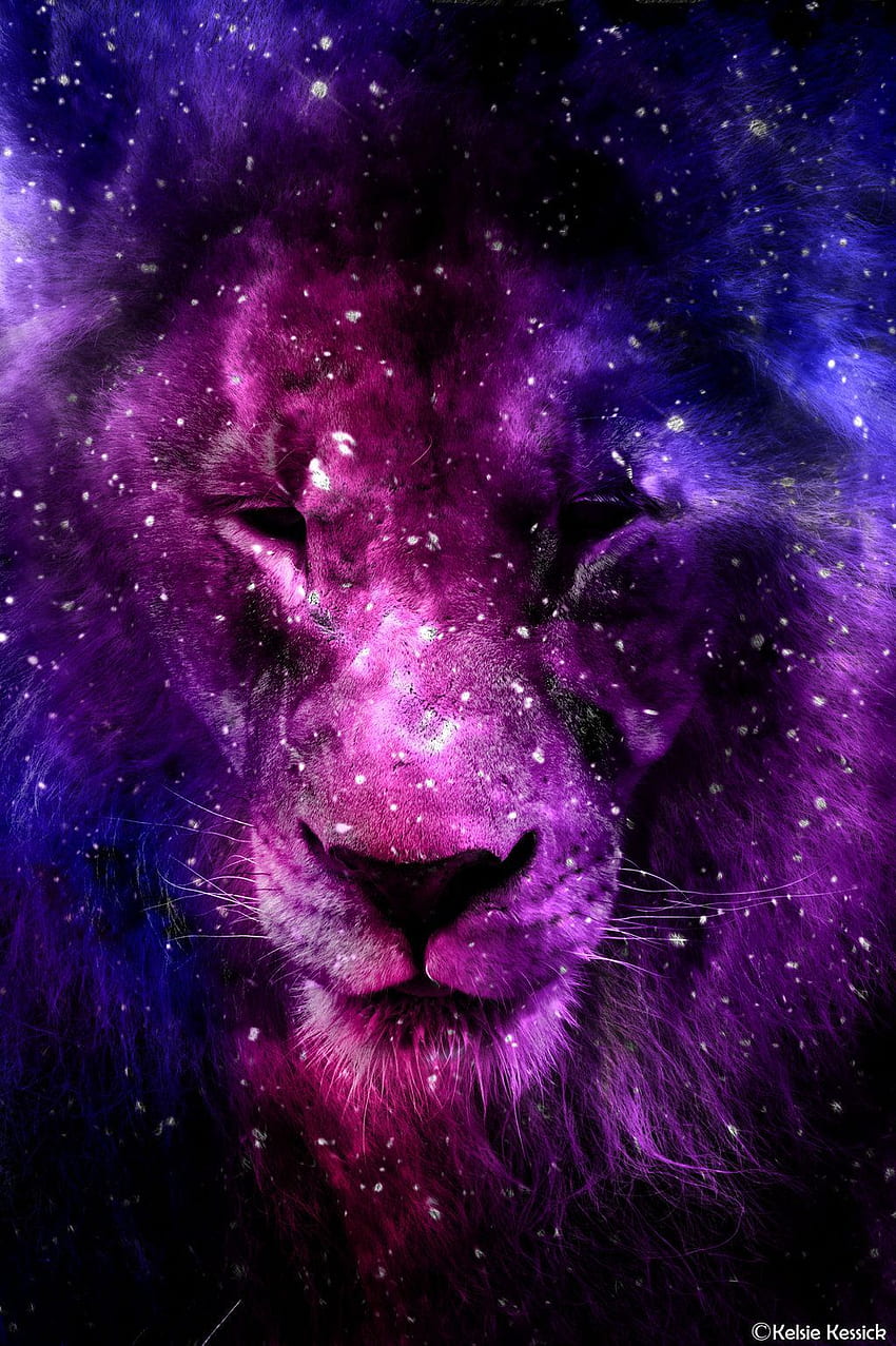 Galaxy Lion, Pink Lion HD phone wallpaper