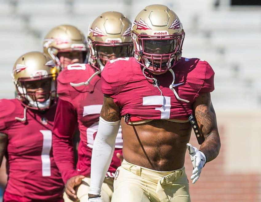 As in life, Florida State's Derwin James plays it the way he sees HD wallpaper