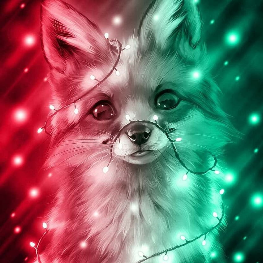 Cute fox. Cute cartoon animals, Cute animal drawings, Baby wolves, Funny  Fox HD phone wallpaper | Pxfuel