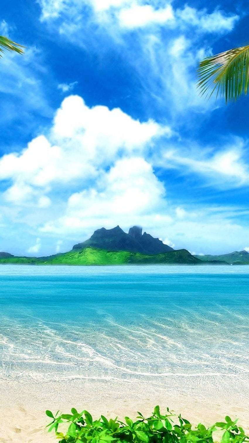 Tropical iPhone 6 25216 - Beach iPhone 6, Moana Beach HD phone wallpaper |  Pxfuel