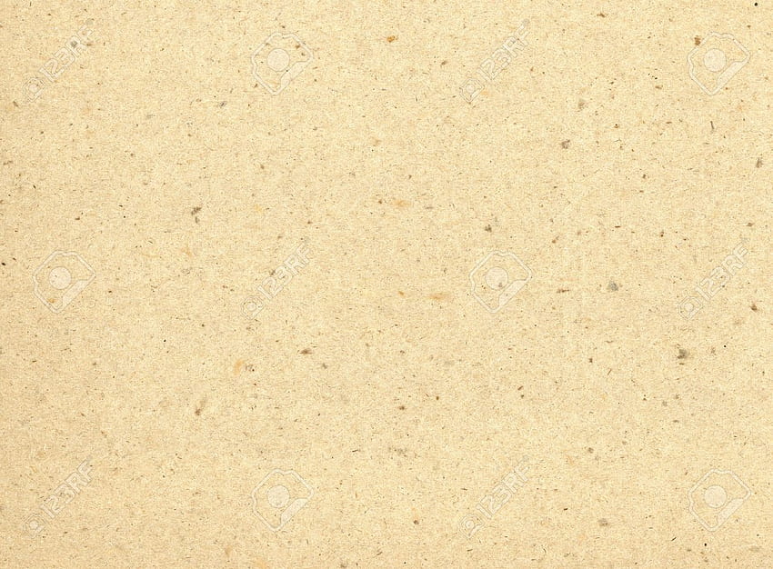 Tło kremowe, kolor kremowy Tapeta HD