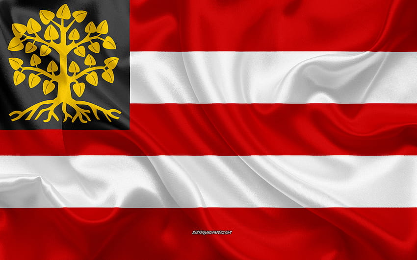 Flag of s-Hertogenbosch, , silk texture, s-Hertogenbosch, Netherlands, s-Hertogenbosch flag, Dutch cities HD wallpaper