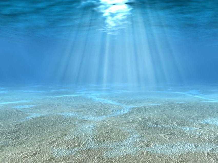 수중. 수중, 해저 HD 월페이퍼