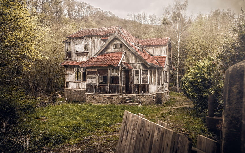 Стара къща, гора, руина, трева HD тапет