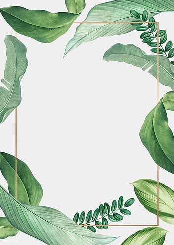 Plant Drawing Images – Browse 10,508,584 Stock Photos, Vectors, and Video |  Adobe Stock