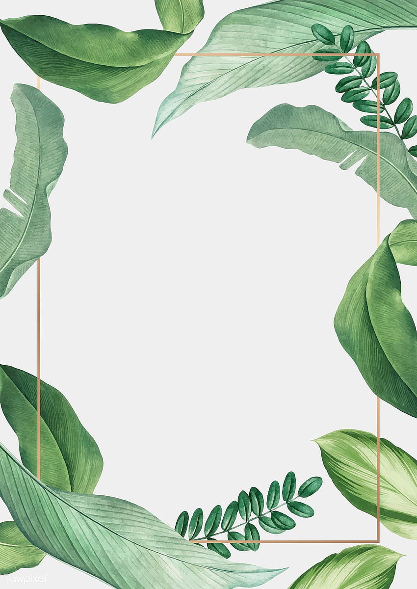 wektor premium ręcznie rysowane tropikalne liście biały wektor plakatu. Tropikalne liście, jak narysować ręce, oprawione, rysunek tropikalnych roślin Tapeta na telefon HD