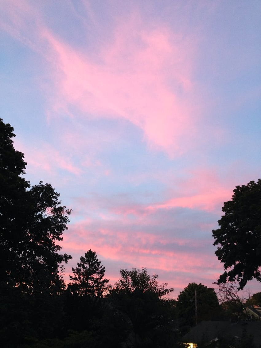 夏の夕暮れ。 空の美学, 美しい空, 夕焼け HD電話の壁紙