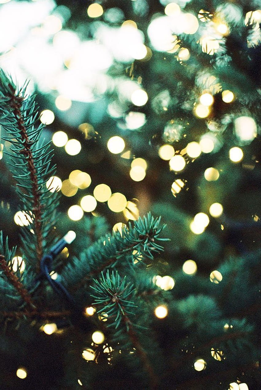 Ide Terbaik Tentang Natal - Latar Belakang Telepon Lampu Natal, Natal iPhone Keren wallpaper ponsel HD