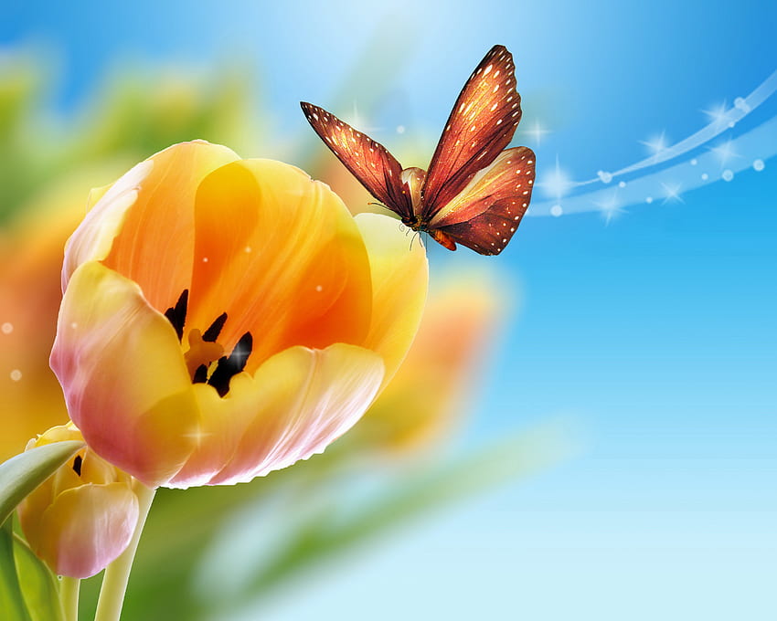 Tulip, tulip, cantik, musim semi, cantik, kupu-kupu, cantik, waktu musim semi, bunga musim semi, alam, bunga, indah Wallpaper HD
