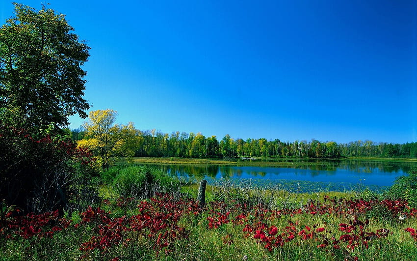 자연, 나무, 호수, 녹색, 색, 물감, 초가을 HD 월페이퍼