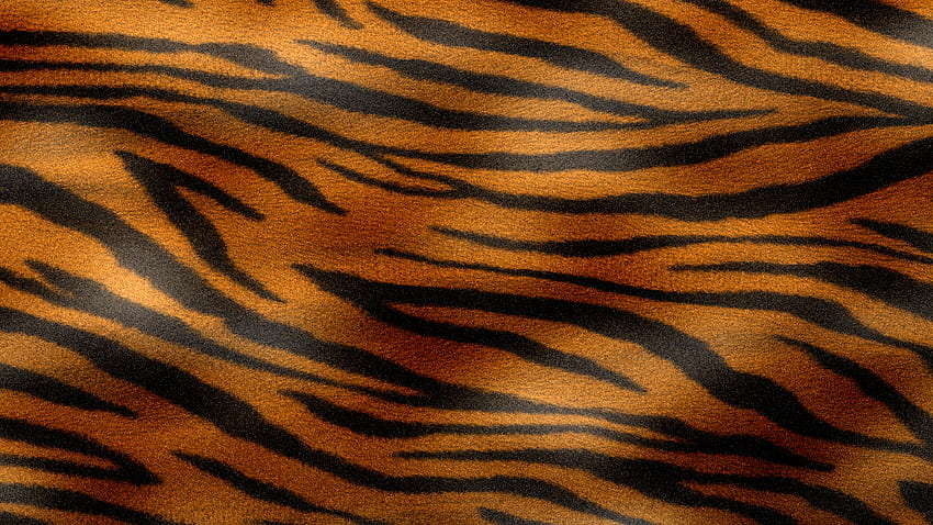 オレンジ色の虎のテクスチャです。 テクスチャ、動物のの野生生物、動物の皮 高画質の壁紙