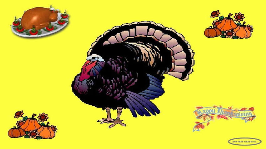 Funny Thanksgiving for HD wallpaper | Pxfuel