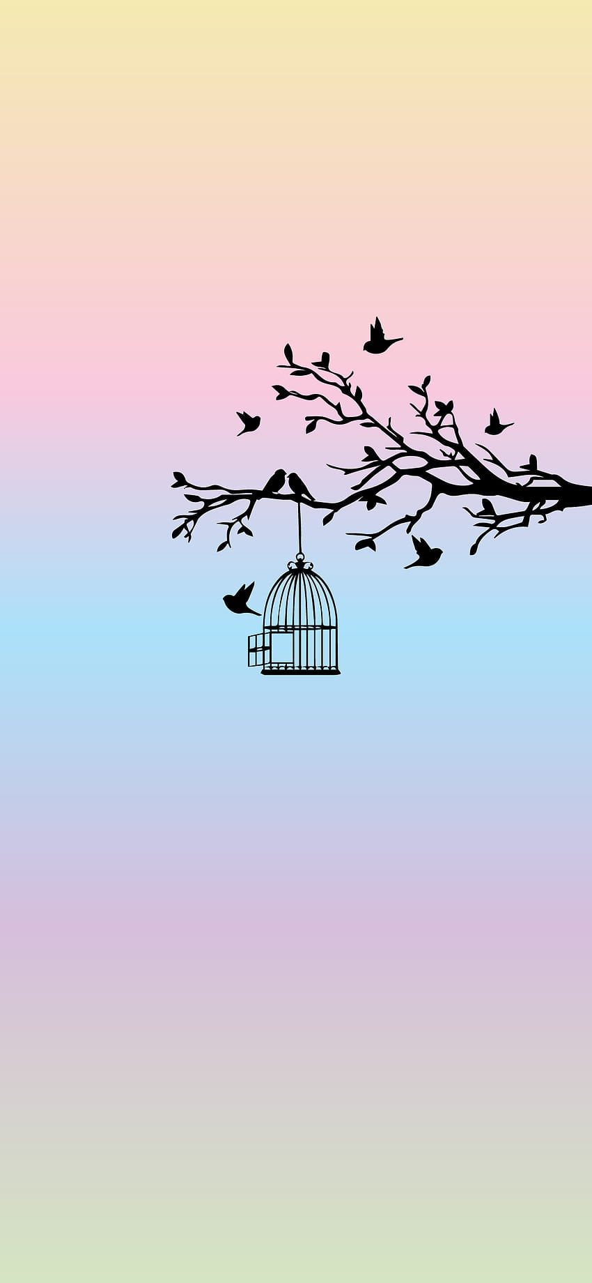 cute bird iphone wallpaper