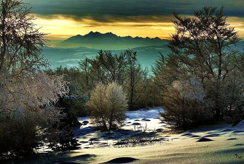 Hiver calme, gelée, neige légère, arbres, calme, ciel jaune et aqua, montagnes, rochers Fond d'écran HD