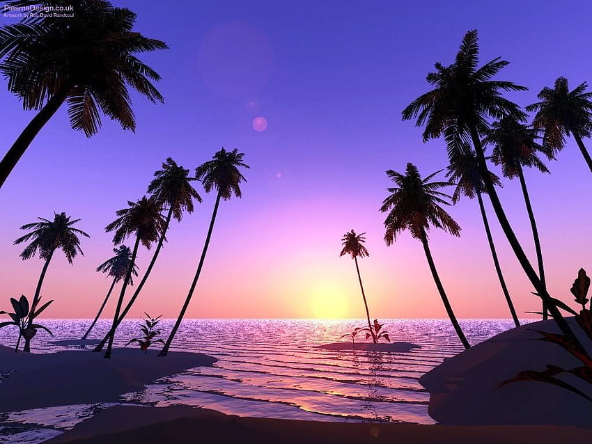 Tropikal palmiye ağaçları plajları, Mor Tropikal Günbatımı Sahili HD duvar kağıdı