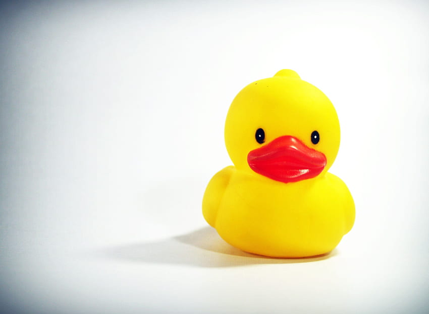 Yellow Duck Toy on White Surface · Stock HD wallpaper