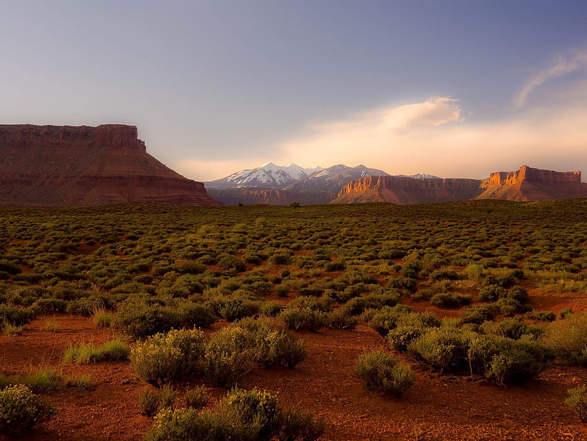 My dad took this stunning in the Southern Utah desert near HD wallpaper