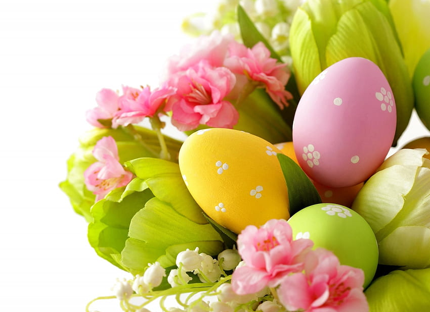 easter spring flower leaves lily of the valley eggs HD wallpaper