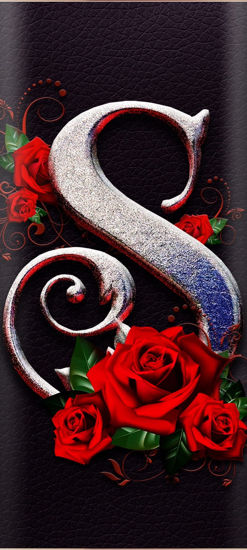S Rose, hybrid tea rose, red, beautiful, latter, iphone, alphabet ...