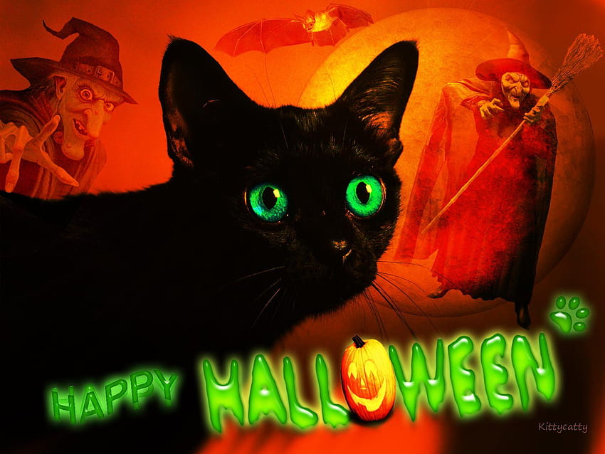 Business fo, Happy Halloween Cat HD wallpaper