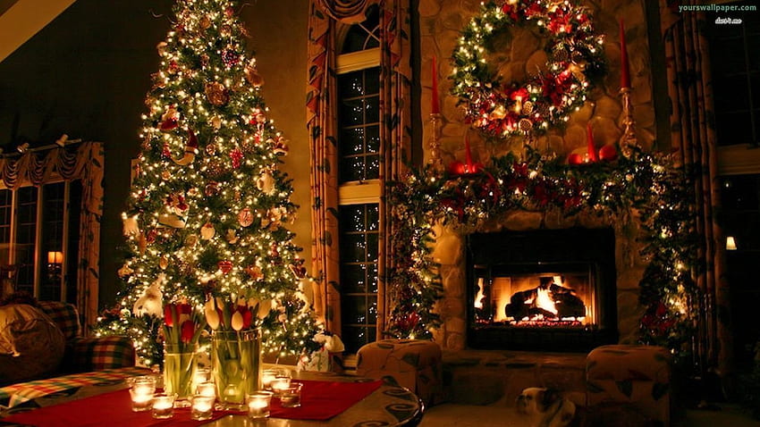 Christmas Lights “Indoor And Outdoor Christmas Lights, Christmas Houses HD wallpaper