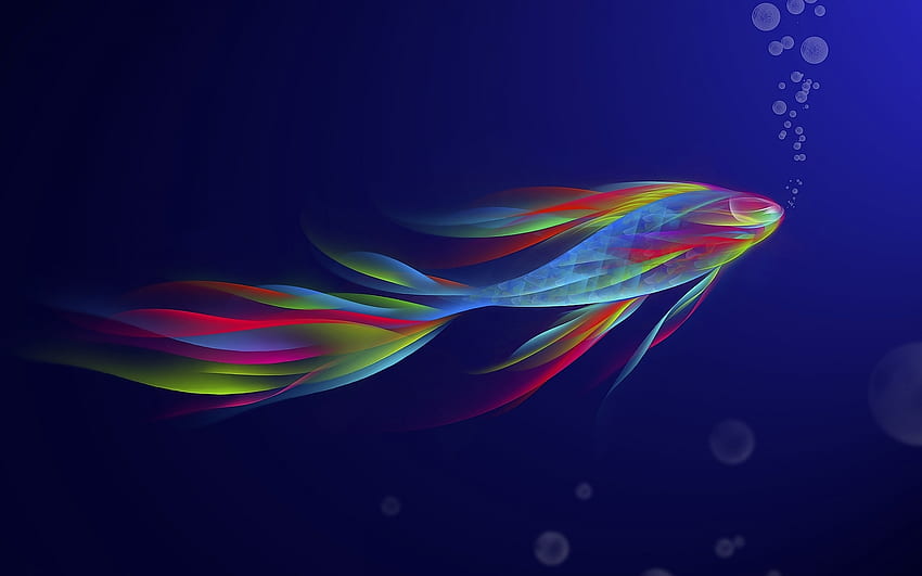 Warna ikan, warna, warna, indah, ikan, kemegahan, air Wallpaper HD