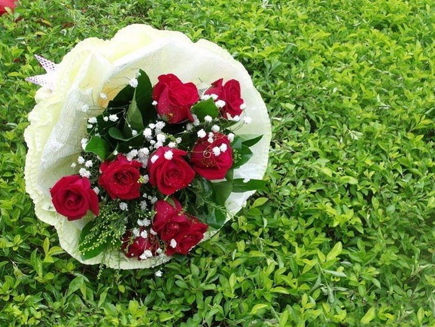 Brautstrauß, Blumenstrauß, Rosen, schön, Anmut, frisch, Braut, Liebe, rot, Natur, Leidenschaft, Blumen, für immer HD-Hintergrundbild