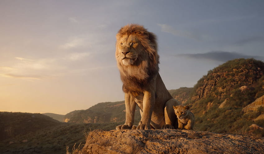 The Lion King (2019), Awesome Lion King HD wallpaper