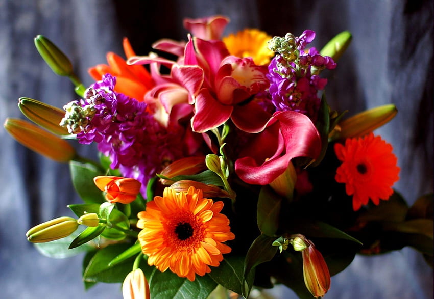 ดอกไม้, ลิลลี่, เยอบีร่า, การพิมพ์, ลงทะเบียน, ใกล้ชิด, ช่อดอกไม้, Calla, Callas วอลล์เปเปอร์ HD