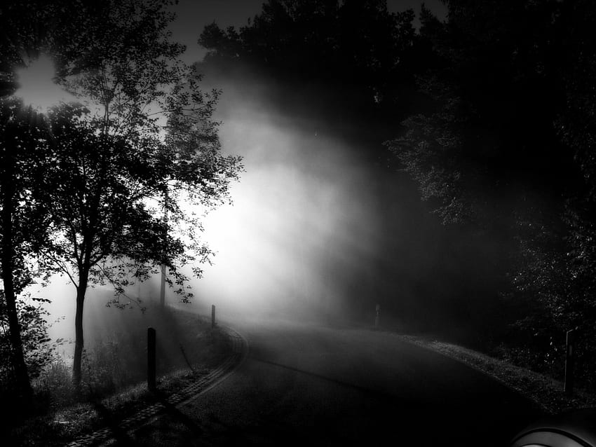 Morning Mist, bw, , astratto, scuro Sfondo HD