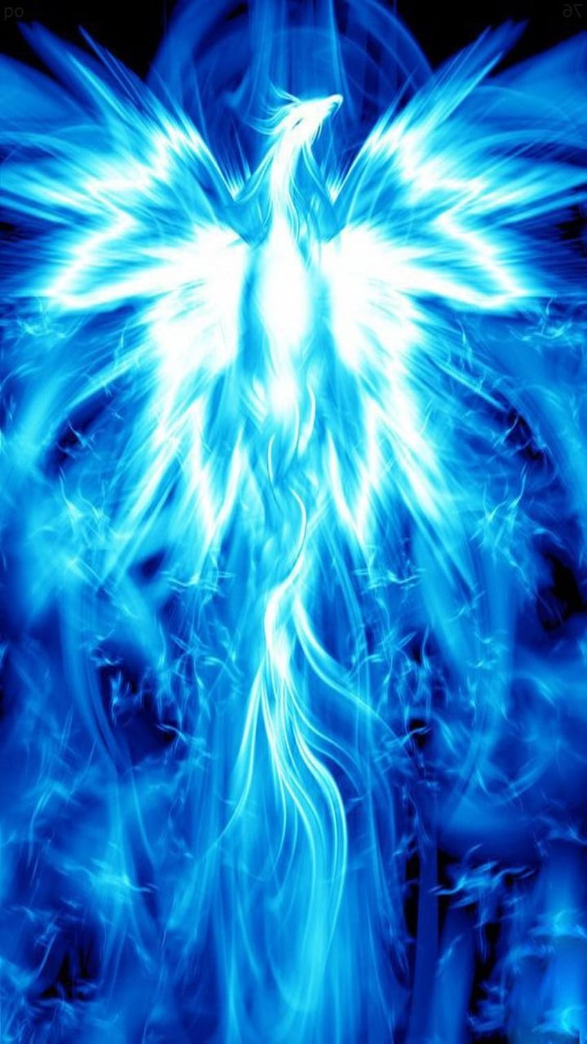Blue Phoenix, Beautiful Phoenix HD phone wallpaper