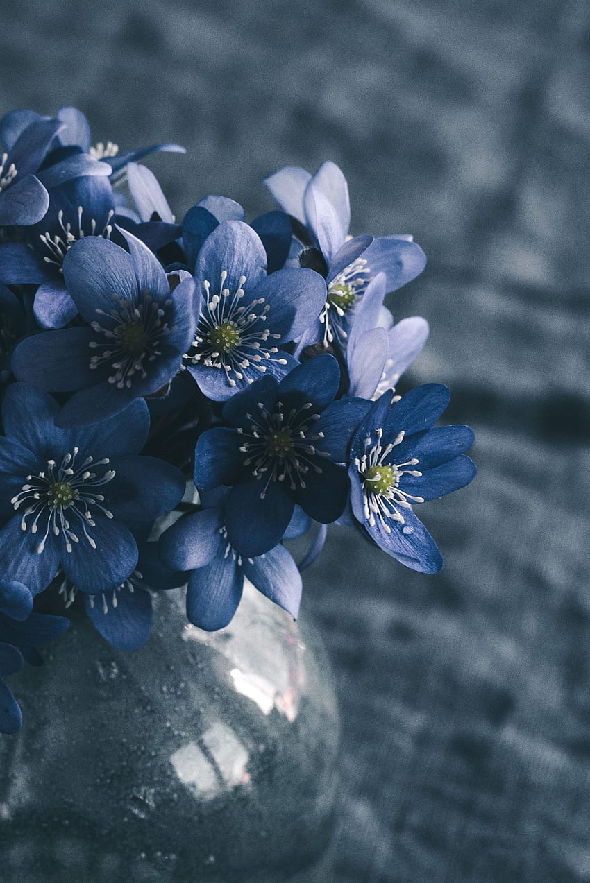 Flowers, Macro, Bouquet, Spring HD phone wallpaper