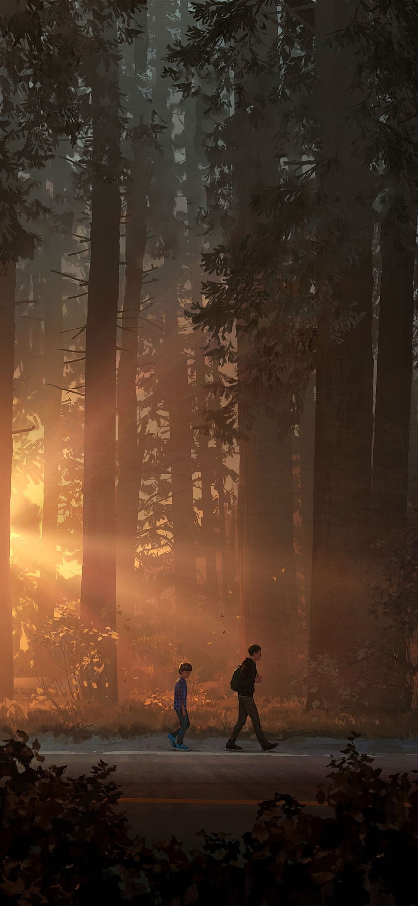 Life is Strange 2, arte del juego, bosque, rayos de sol fondo de pantalla del teléfono