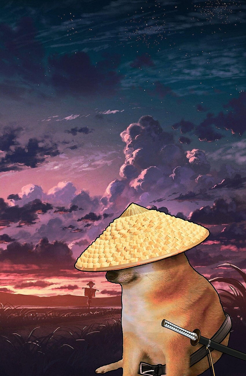samurai dog, cloud, sky HD phone wallpaper
