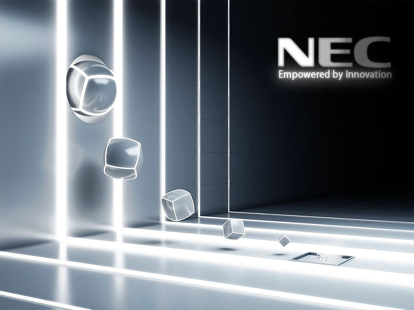 NEC . NEC , Fennec Fox Lazy and NEC LaVie HD wallpaper