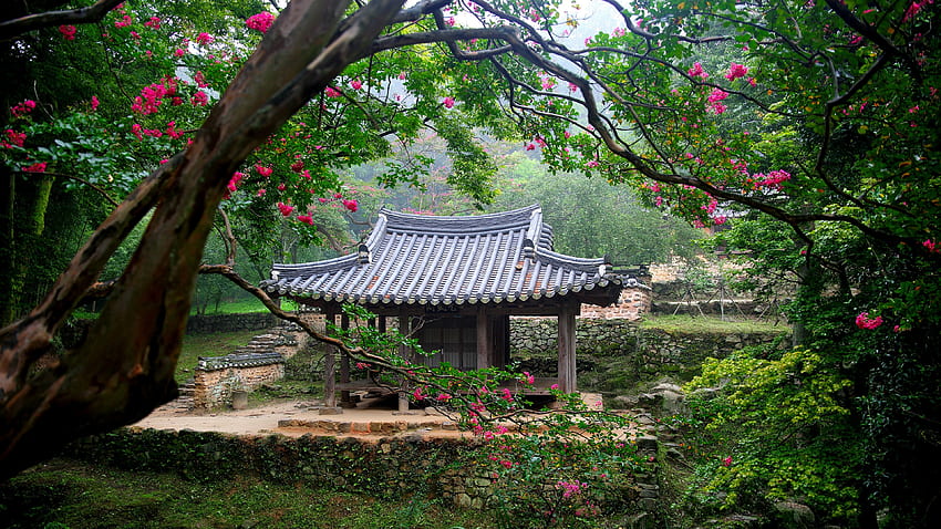 Gazebo in japanese park, sakura, gazebo, garden, trees, beautiful, spring, park HD wallpaper