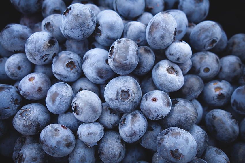 Makanan, Blueberry, Bilberry, Berries Wallpaper HD