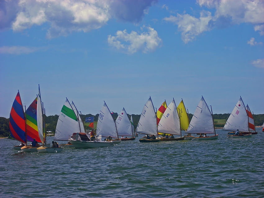 Ready To Race, sailboats, colorful, ocean, race HD wallpaper | Pxfuel