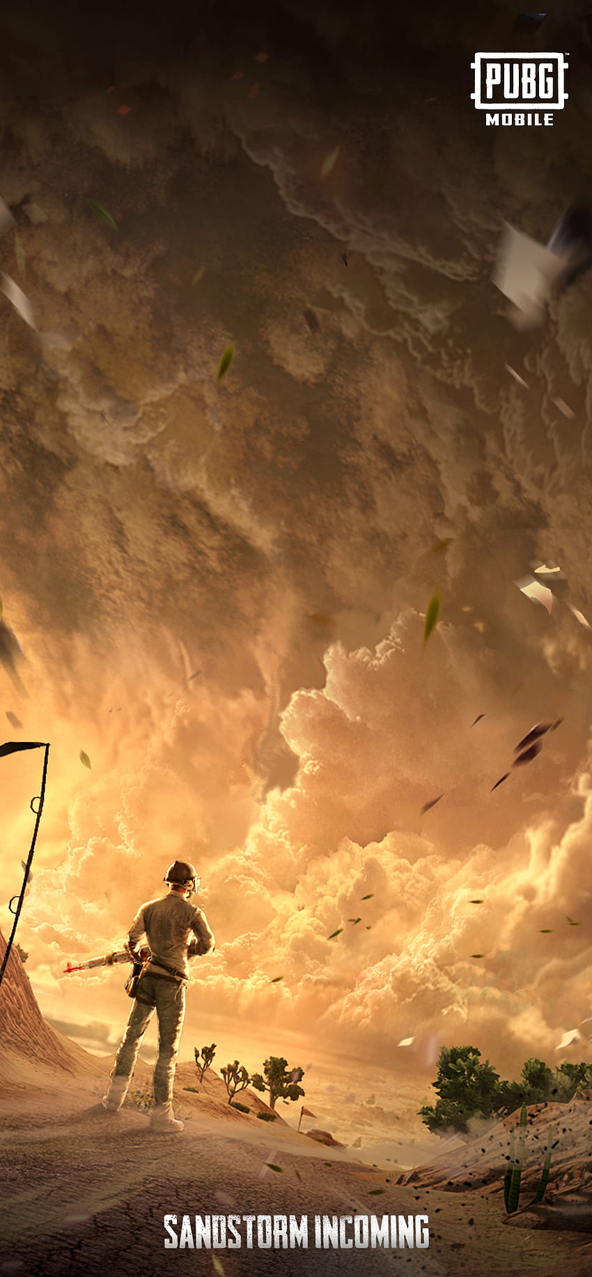 Pour célébrer Mad Miramar, voici un mobile avec l'illustration PUBG. Qui aime l'apparence de la tempête de sable dans le jeu? : PUBGMobile, Erangel Carte Fond d'écran de téléphone HD