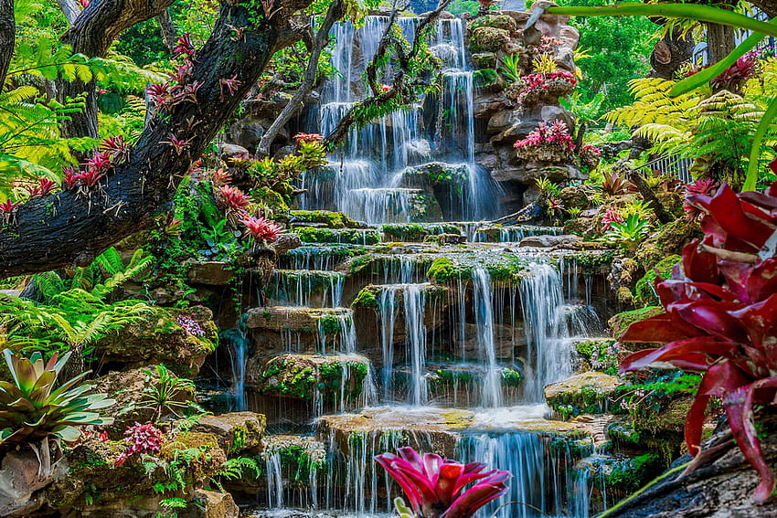 Wodospad w Tajlandii, lato, Tajlandia, Azja, rośliny, egzotyczny, wodospad, kaskady, piękny, las Tapeta HD