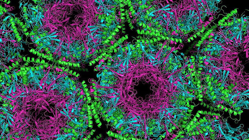 Mikrobiologi, Ahli Mikrobiologi Wallpaper HD
