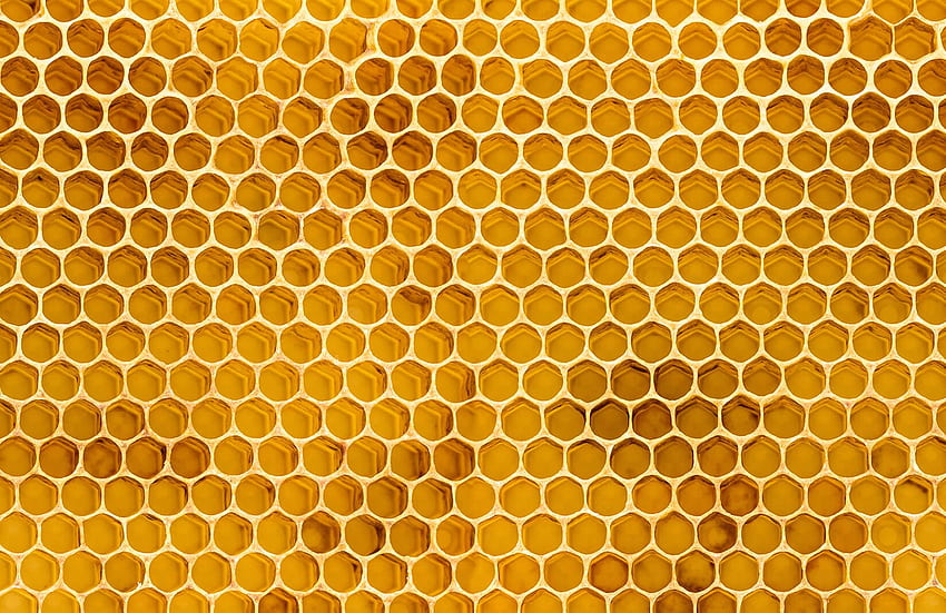 Стенопис с текстура на пчелна пита, жълта текстура HD тапет