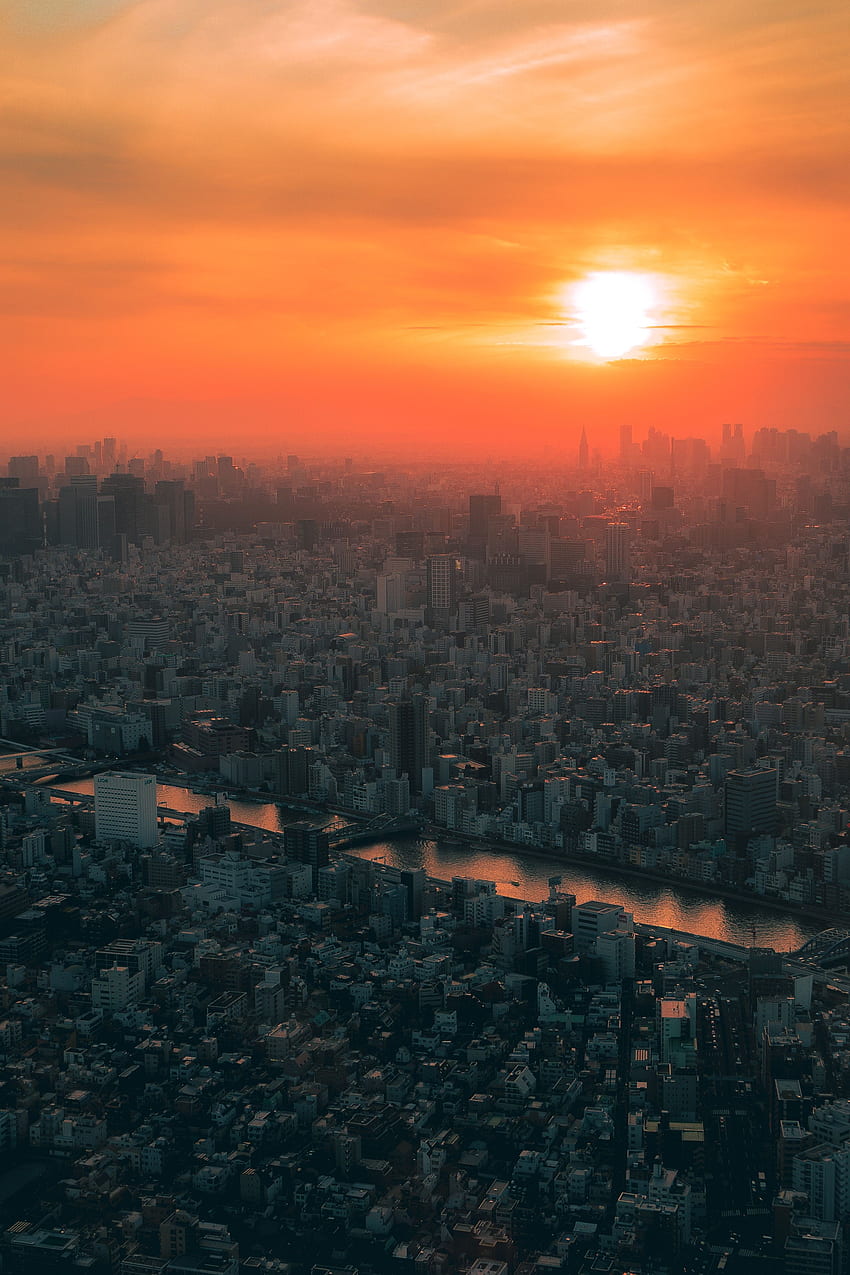 villes, coucher de soleil, ville, vue d'en haut, brouillard, japon, tokyo Fond d'écran de téléphone HD