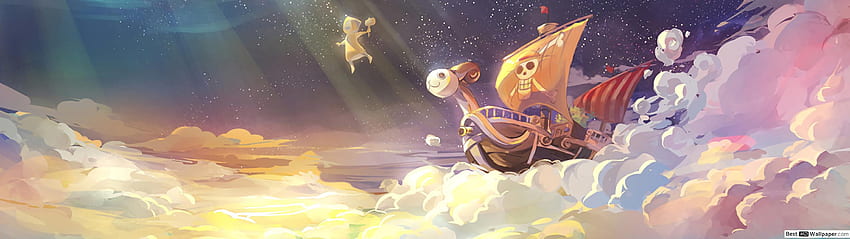 One Piece - Going Merry, One Piece Thousand Sunny HD wallpaper
