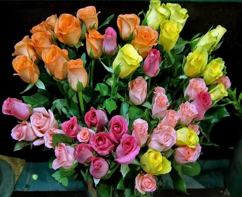 variopinto, bouquet, rose, gemma, fiore Sfondo HD