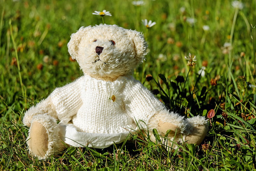 Grass, Teddy Bear, , , Toy, Blouse, Jersey HD wallpaper