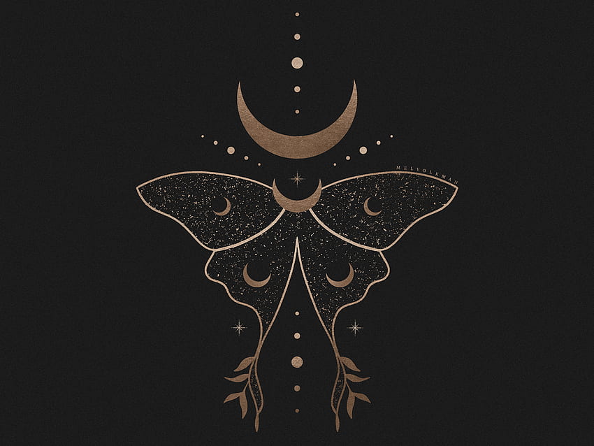 ประกอบ Cosmic Luna Moth โดย Mel Volkman รอยสักพระจันทร์, ประกอบผีเสื้อกลางคืน, รอยสักแม่มด วอลล์เปเปอร์ HD