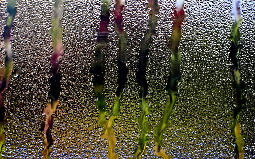 Water, Rain, Drops, Macro, Glass, Window, Streams, Flows HD wallpaper