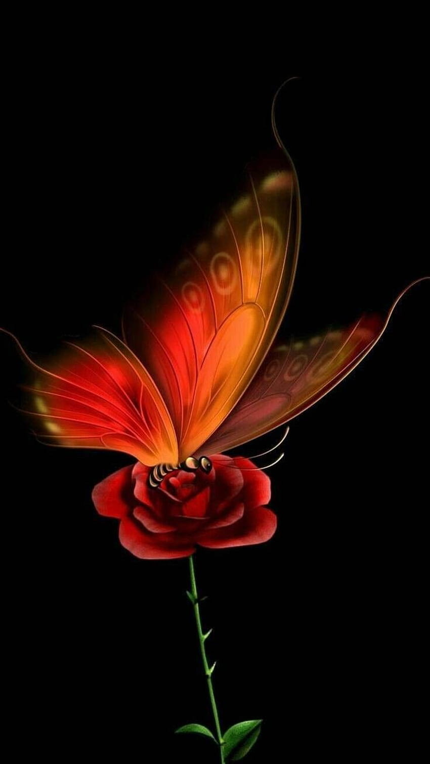 Nazima on ‍‍. Butterfly background, Butterfly , Butterfly, Cute Red  Butterfly HD phone wallpaper | Pxfuel