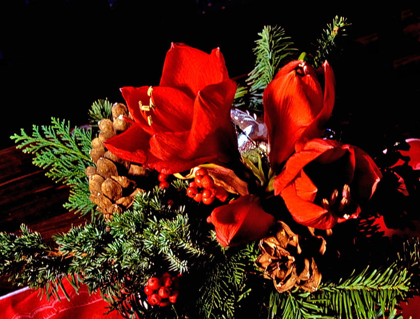 Christmas flowers, decoration, bouquet, pine, christmas, red flowers, beautiful, pinecone HD wallpaper